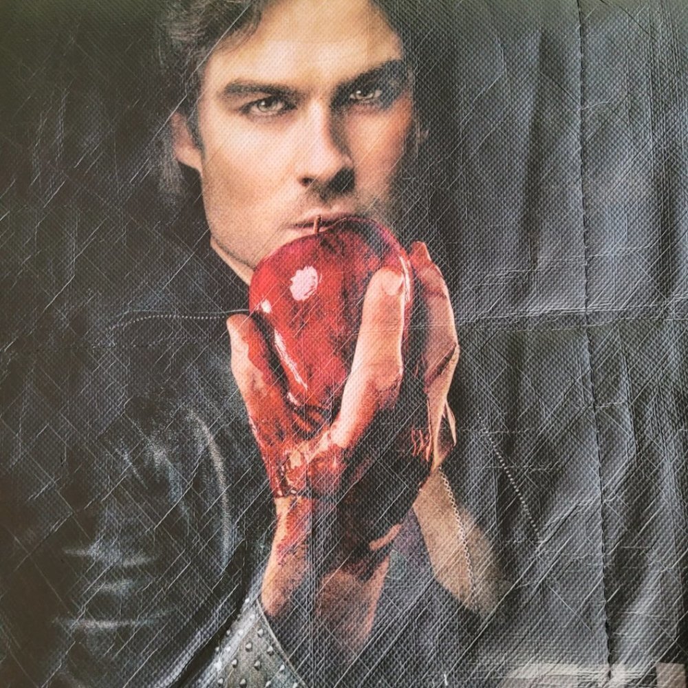Vampire Diaries Comic Con 2012 Tote Bag Large Collectible Limited Edition Canvas - Picture 5 of 10